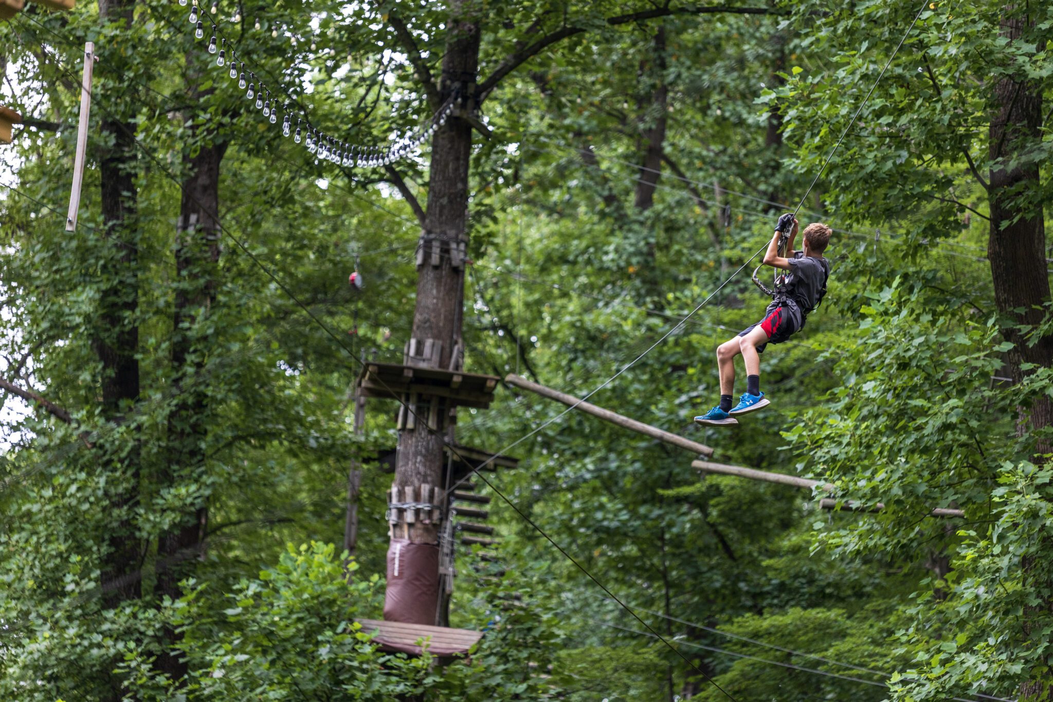 A boy on a zip line in the woods participates in the P.L.E.D.G.E. Leadership Program.