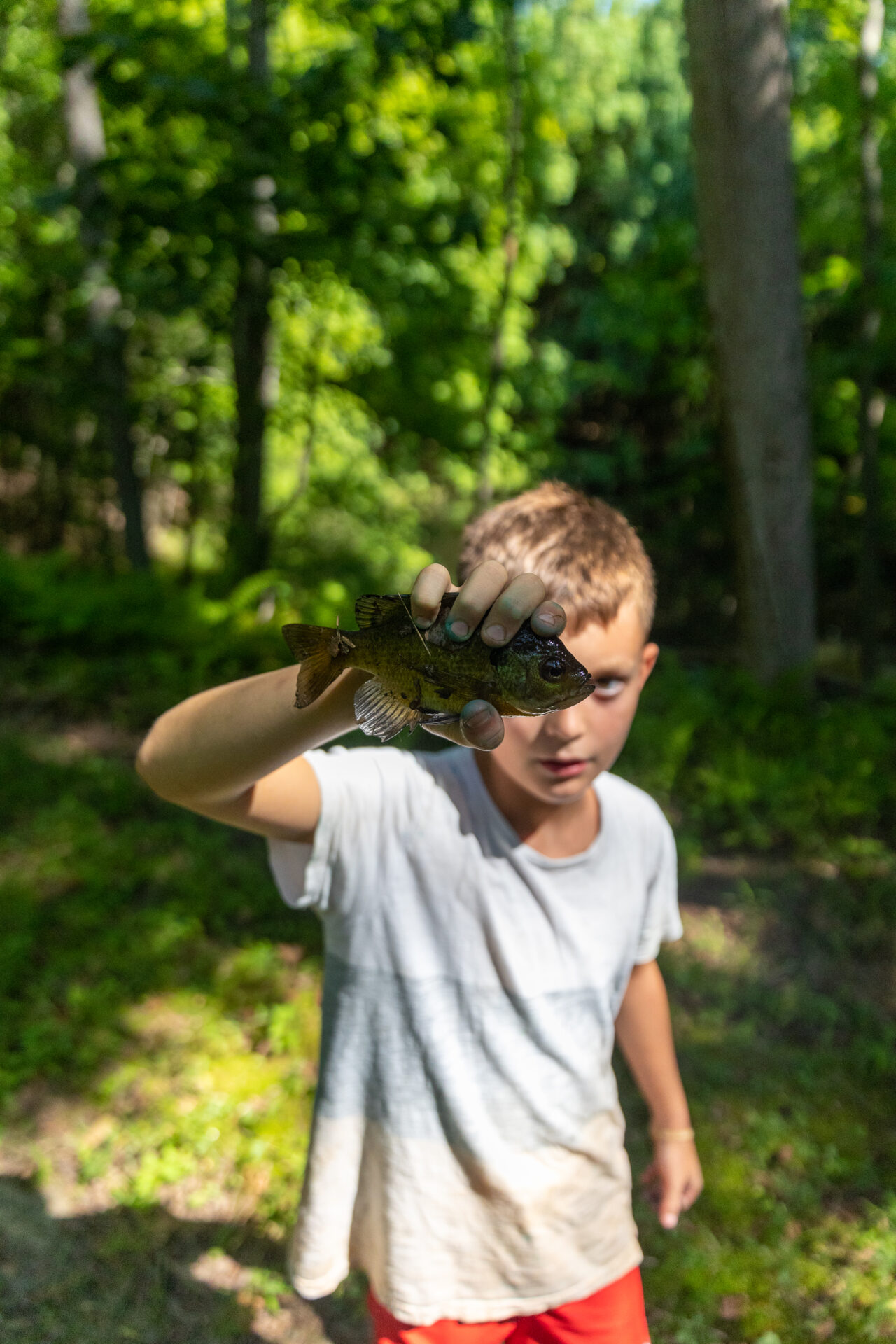 A young boy holding up a small fish in the BearTrax.
