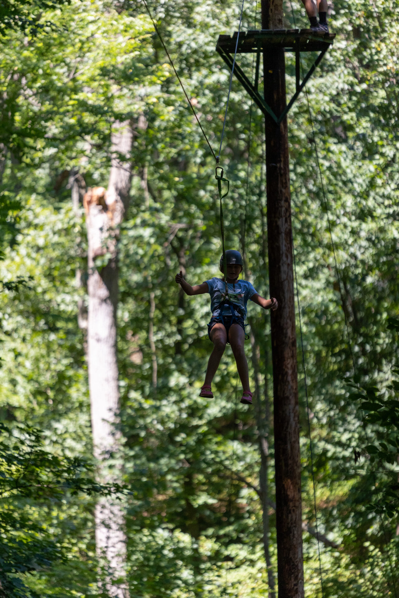 A group of people on a BearTrax zip line in the woods.